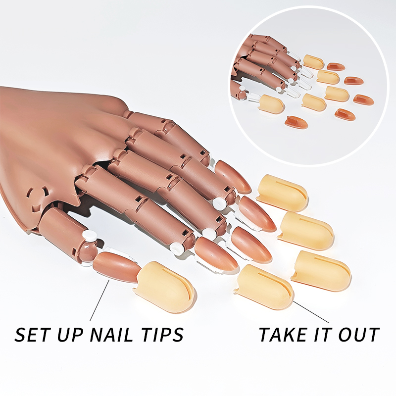 Nail Fake Practice Hand Movabl - Furniture Hardware Nails ulasan dan harga